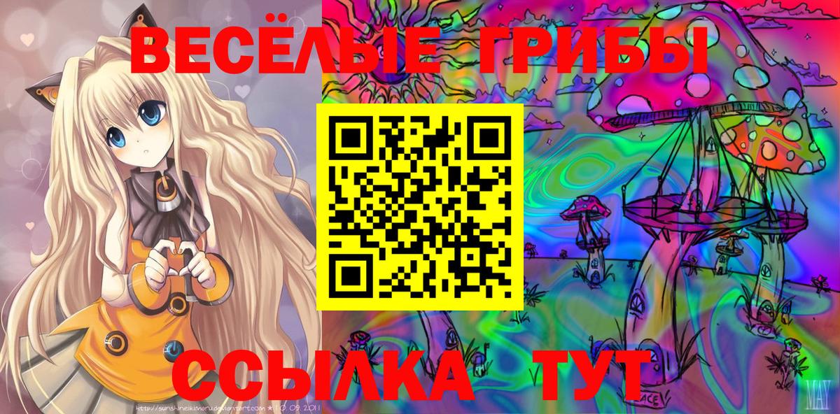 Галлюциногенные грибы MAGIC MUSHROOMS Топки