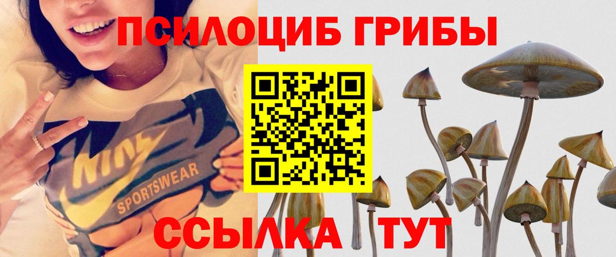 Псилоцибиновые грибы Psilocybine cubensis  Галлюциногенные грибы прущие грибы  Топки  Вход с VPN 
